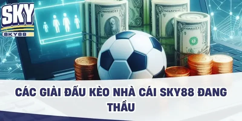 Các giải đấu kèo nhà cái SKY88 đang thầu